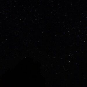 SCAMMERS! PLEASE GO GET A REAL JOB